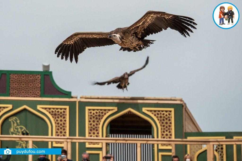 Puy du fou (Toledo)