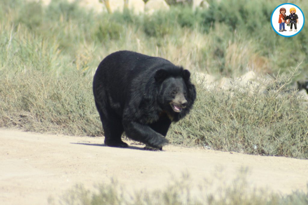 Reserva Africana de Sigean