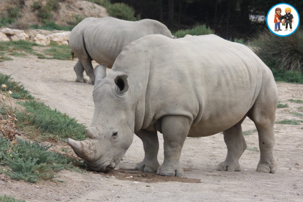 Reserva Africana de Sigean